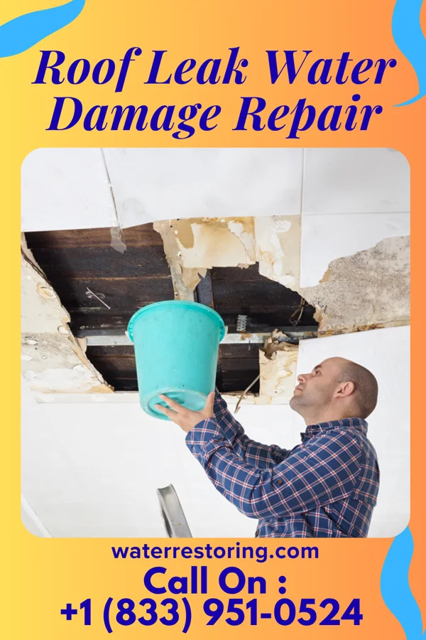 Roof Leak Water Damage Repair in Potsdam, OH