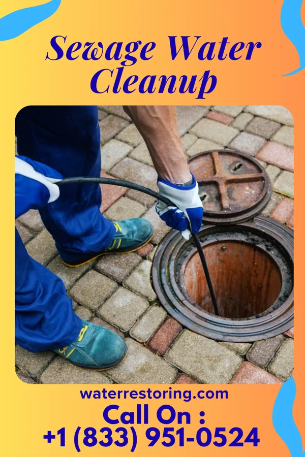 Sewage Water Cleanup in Potsdam, OH