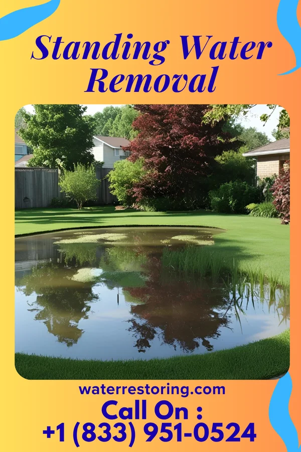 Standing Water Removal in Potsdam, OH
